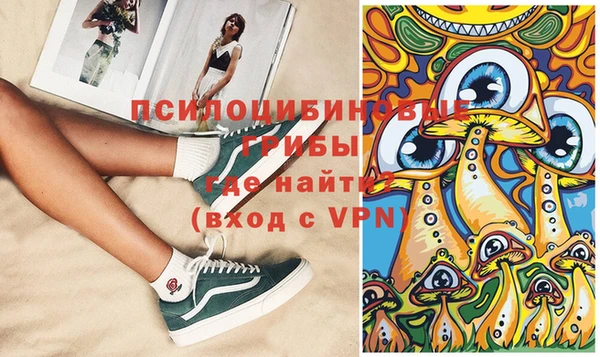 ГАЛЛЮЦИНОГЕННЫЕ ГРИБЫ Аркадак