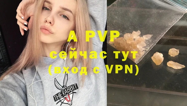 СК Новозыбков